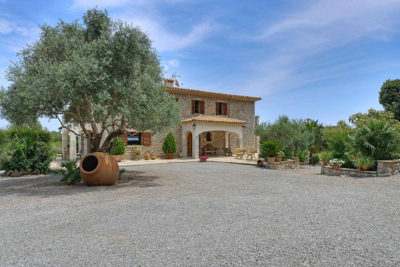 Plomera Villa Pollença